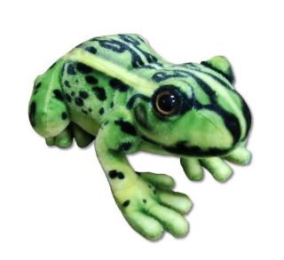 Obrázek z Žába zelená plyš 28cm 